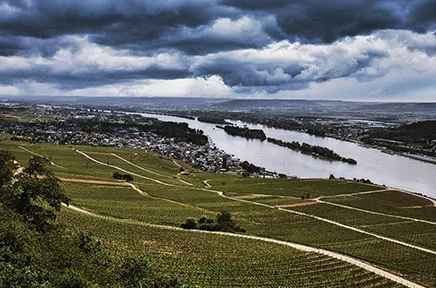 Weinberge am Rheinufer unter dramatischem Wolkenhimmel mit Blick auf den Fluss und umliegende Ortschaften in einer deutschen Weinregion.
